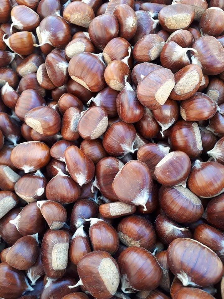 Marroni e castagne di stagione